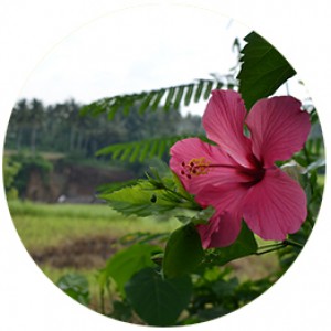 GDE_0980_circle