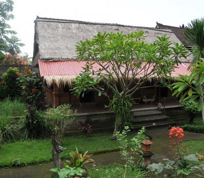 Surrounding - Sua Bali