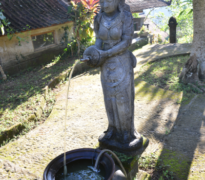 Surrounding - Sua Bali